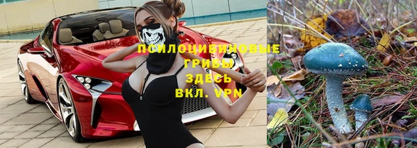 метадон Няндома
