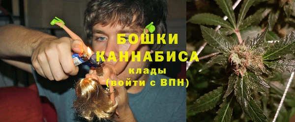 метадон Няндома