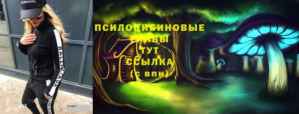 метадон Няндома