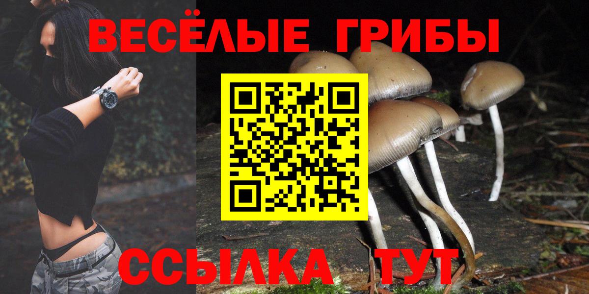 Черногорск  Галлюциногенные грибы Magic Shrooms  Вход с VPN 