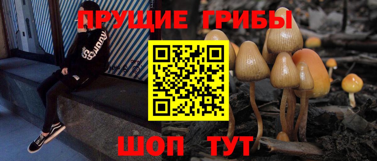 Галлюциногенные грибы ЛСД Черногорск